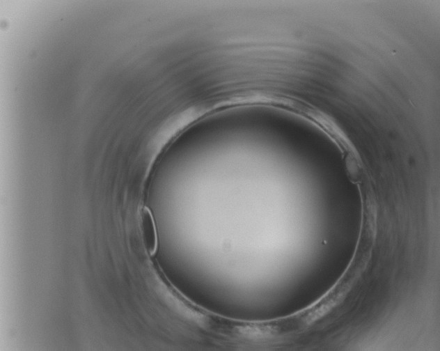 X0000062910805200601201935