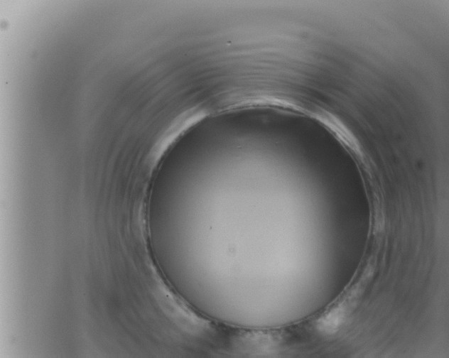 X0000062910806200601201935