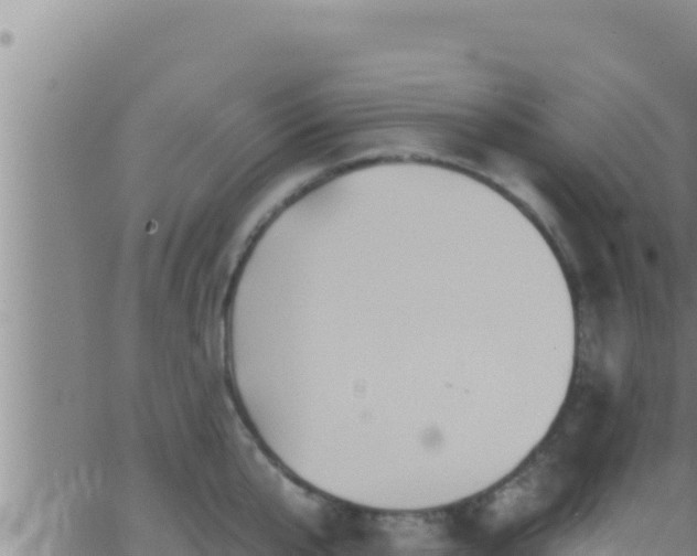 X0000062910807200601201935