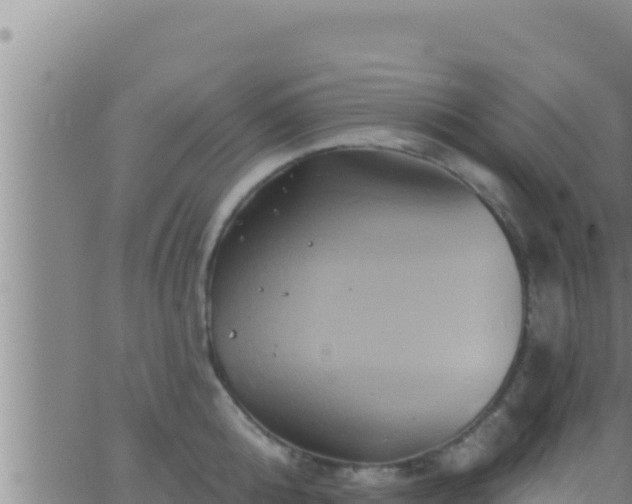 X0000062910808200601201935