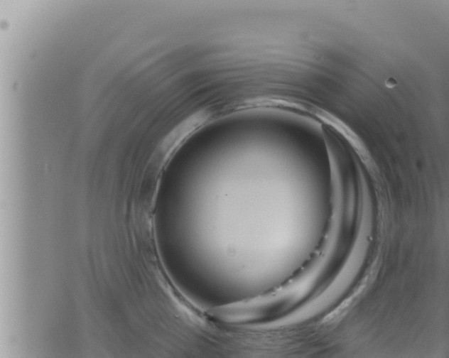 X0000062910809200601201935