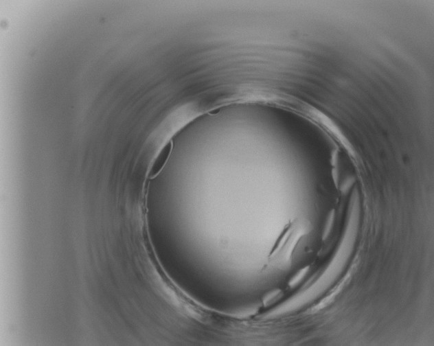 X0000062910810200601201935