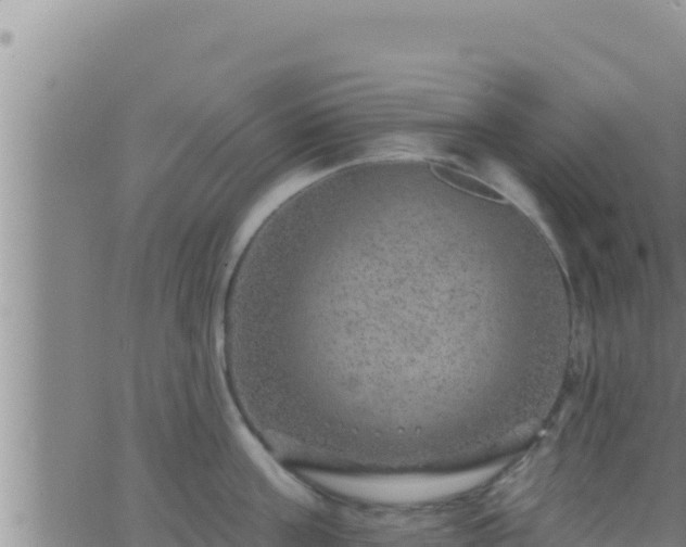 X0000062910811200601201935