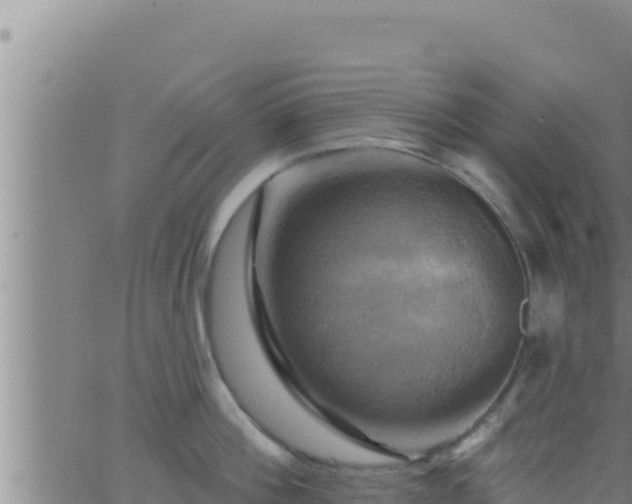 X0000062910812200601201935