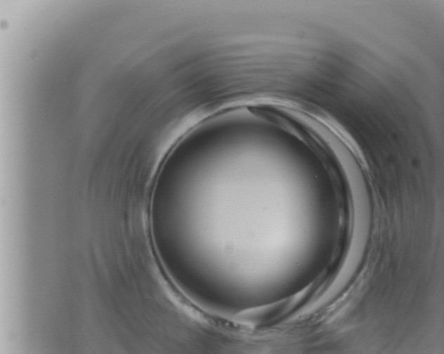 X0000062910813200601201935