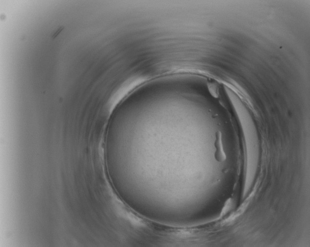 X0000062910814200601201935