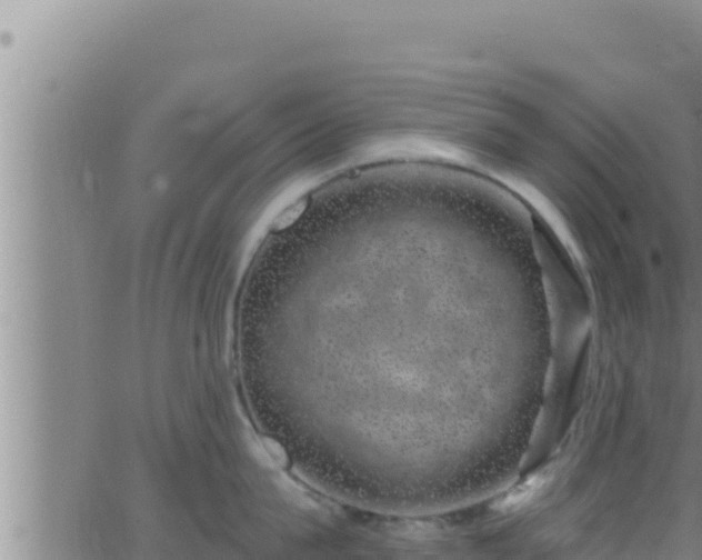 X0000062910815200601201935