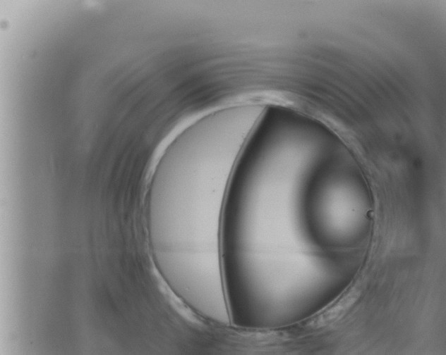 X0000062910816200601201935