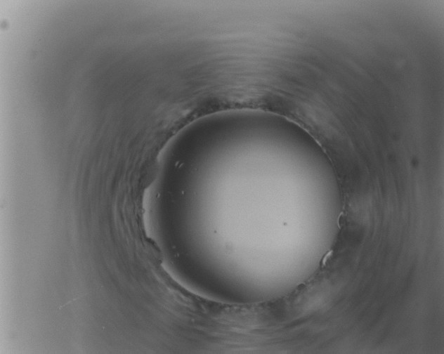 X0000062910817200601201934