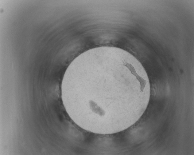 X0000062910820200601201934