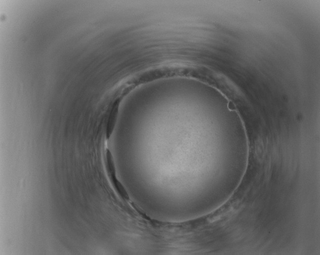 X0000062910821200601201934