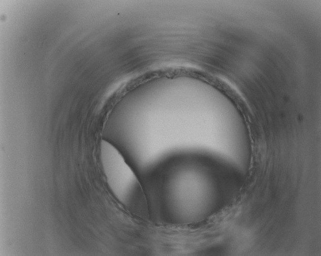 X0000062910823200601201934