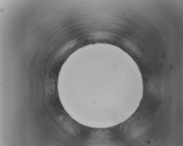 X0000062910824200601201934