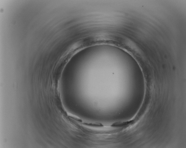 X0000062910825200601201934