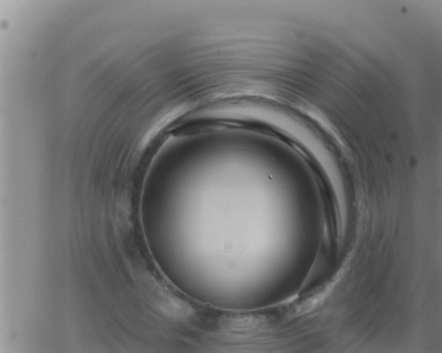 X0000062910826200601201934