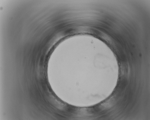 X0000062910828200601201934