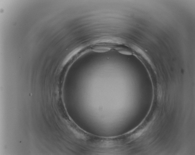 X0000062910829200601201934