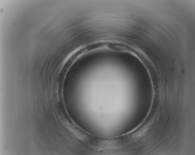 X0000062910830200601201934