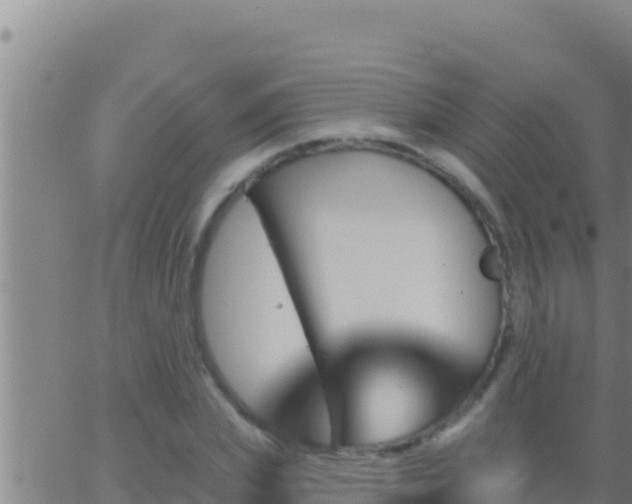 X0000062910831200601201934