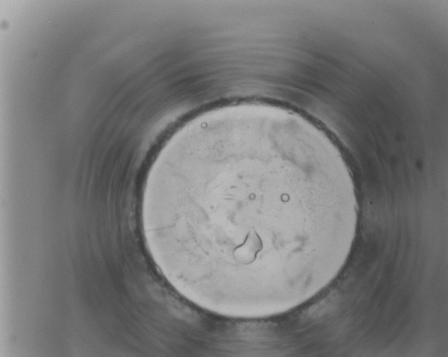 X0000062910832200601201934