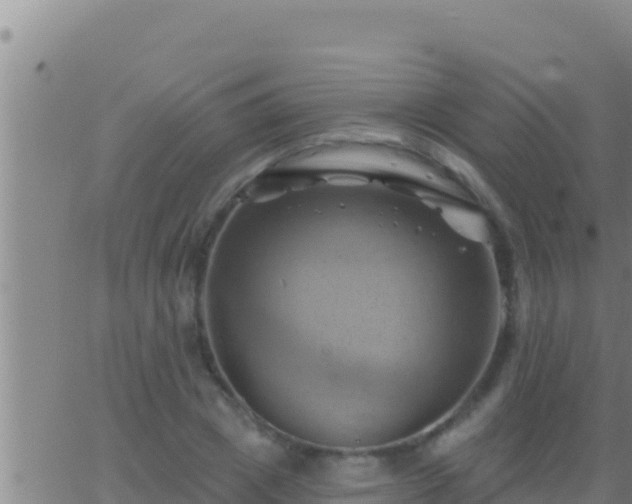 X0000062910833200601201934