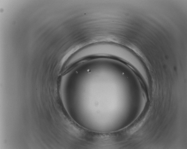 X0000062910834200601201934