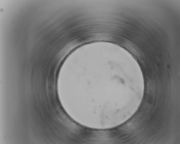 X0000062910836200601201934