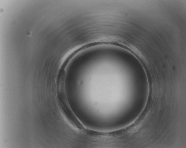 X0000062910838200601201934