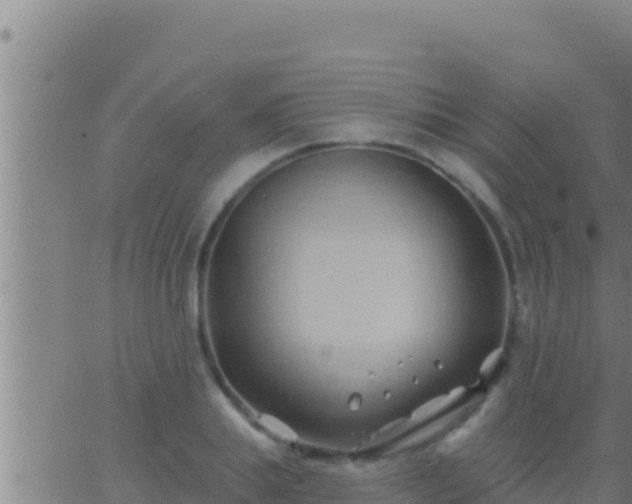 X0000062910839200601201934