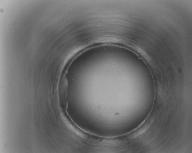 X0000062910840200601201934