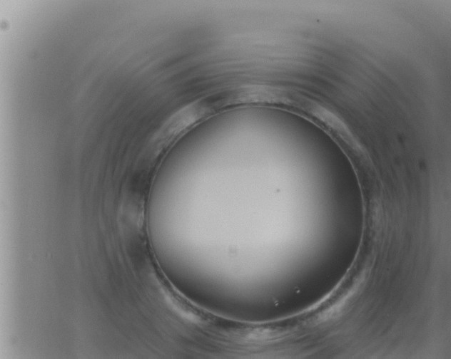 X0000062910841200601201934