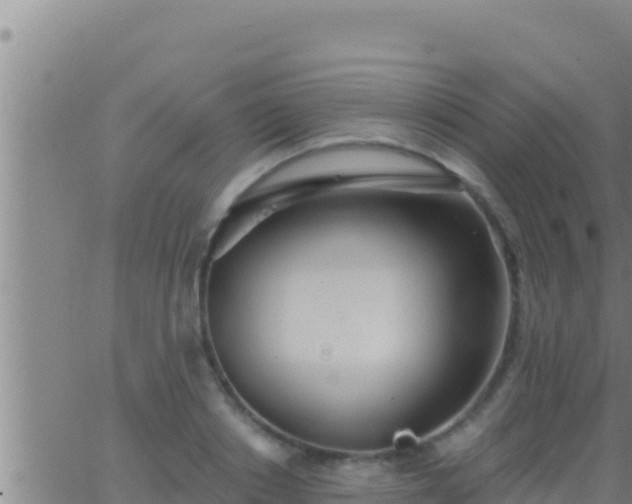 X0000062910842200601201934