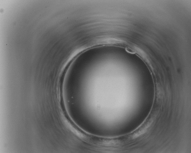 X0000062910843200601201934