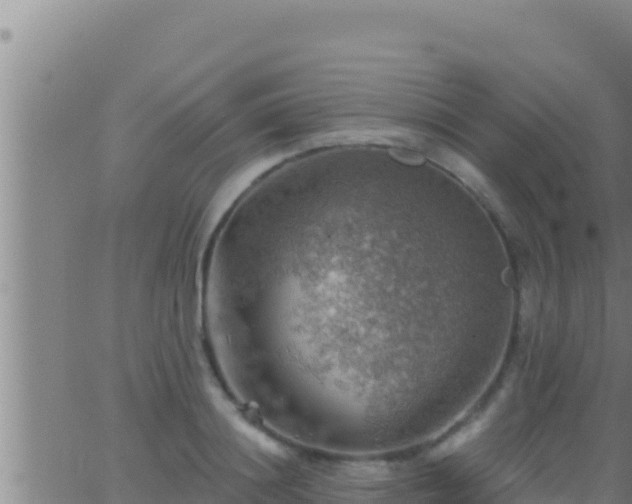 X0000062910844200601201934