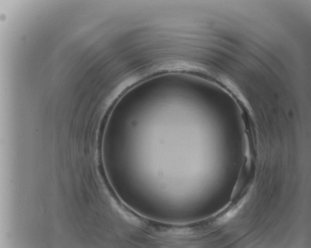 X0000062910845200601201934