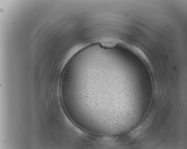 X0000062910847200601201934