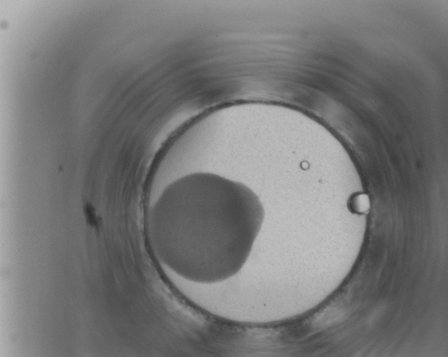 X0000062910848200601201934