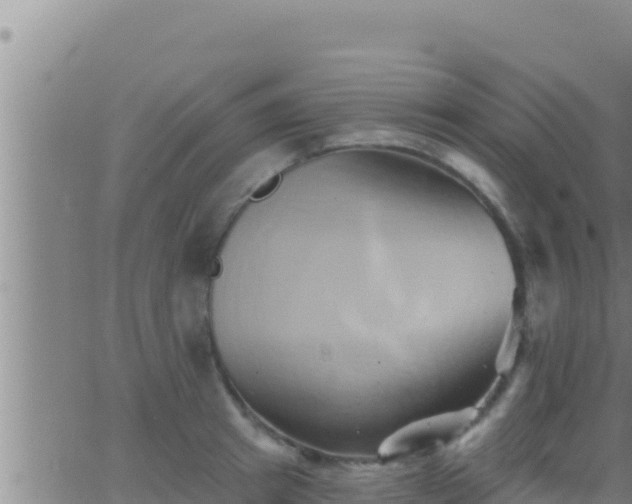 X0000062910849200601201934