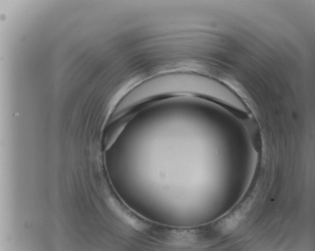 X0000062910850200601201934