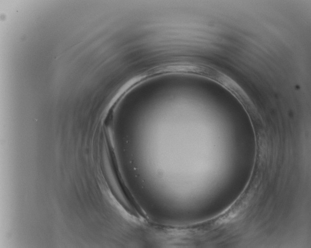 X0000062910852200601201934