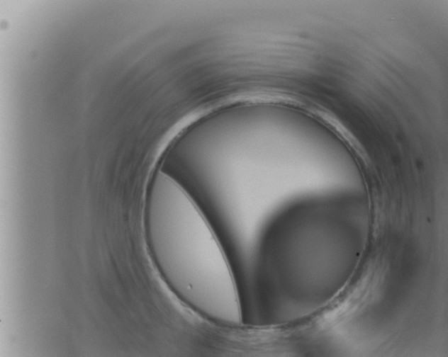 X0000062910853200601201934