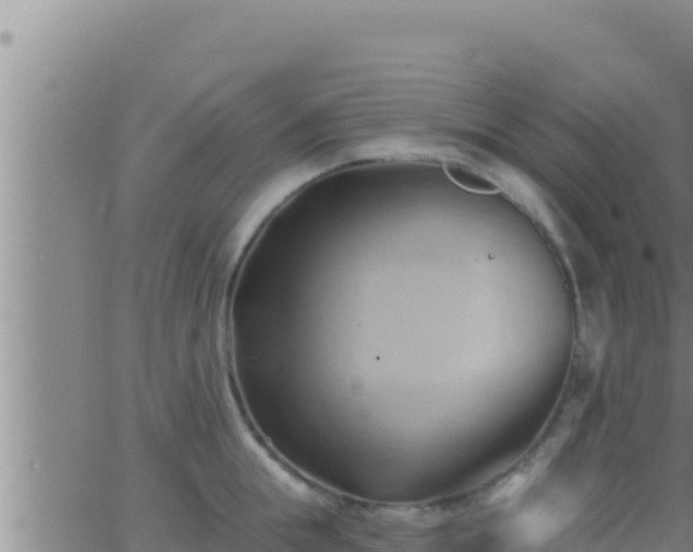 X0000062910855200601201934