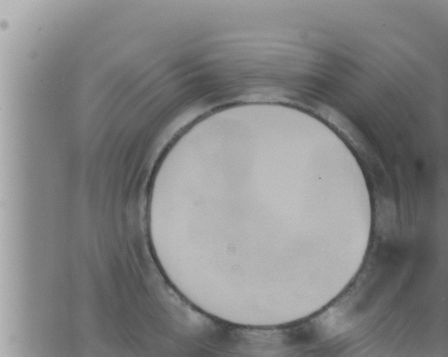 X0000062910856200601201934