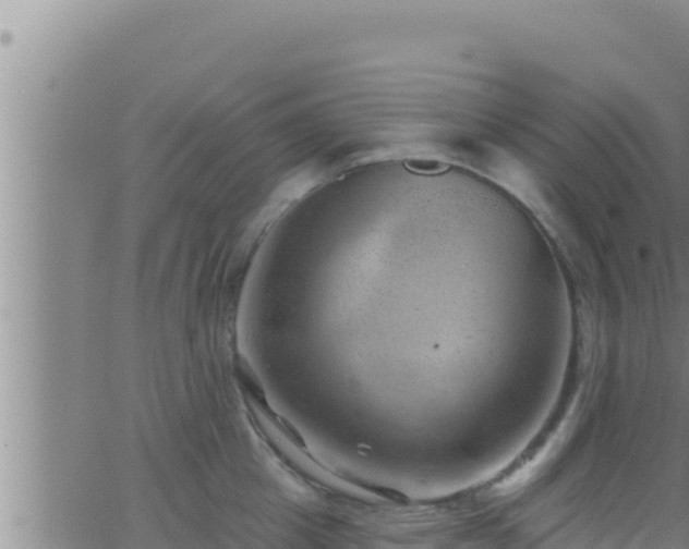 X0000062910857200601201934