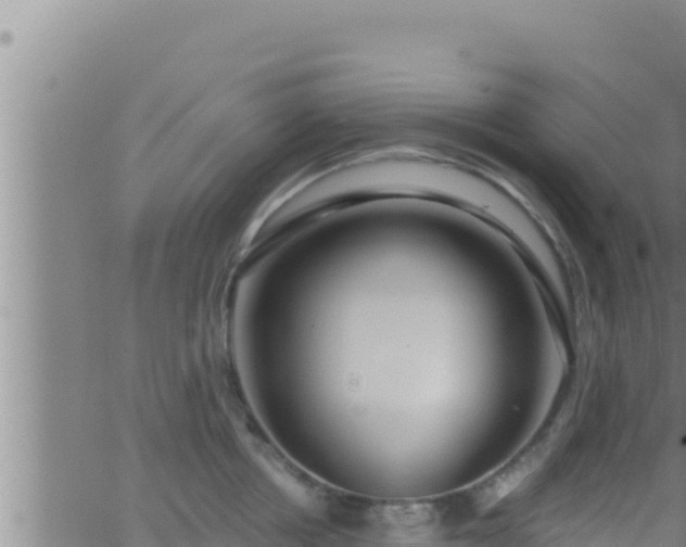 X0000062910858200601201934