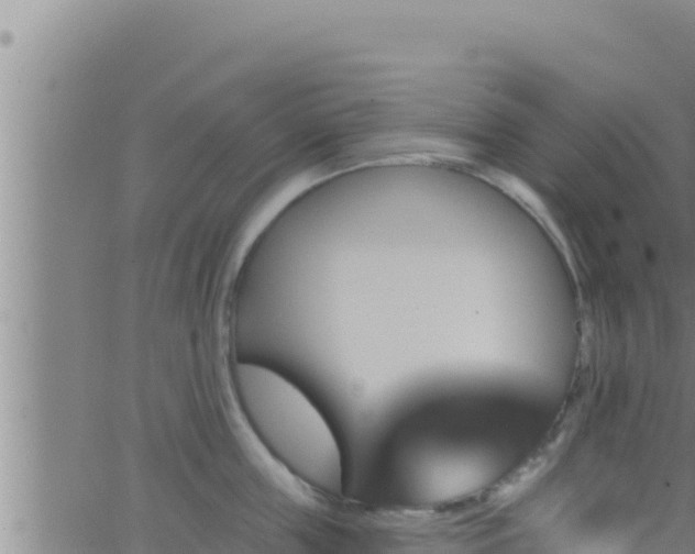 X0000062910859200601201934