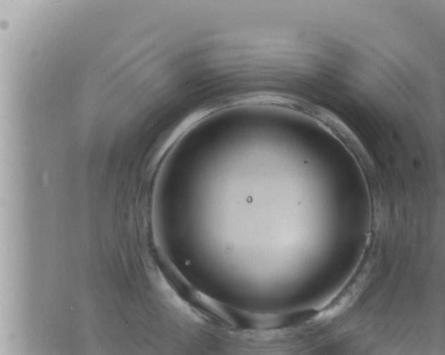 X0000062910860200601201934