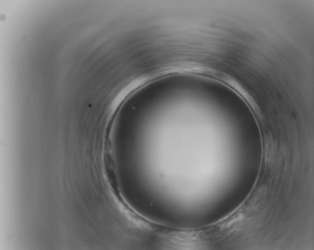 X0000062910861200601201934