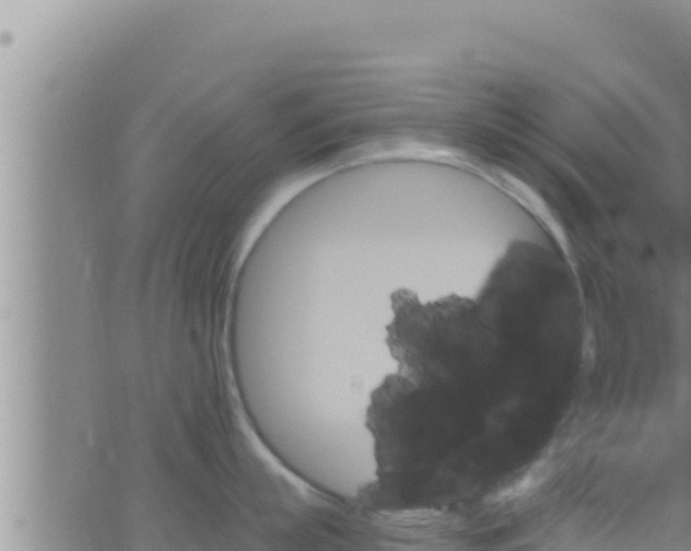 X0000062910863200601201934