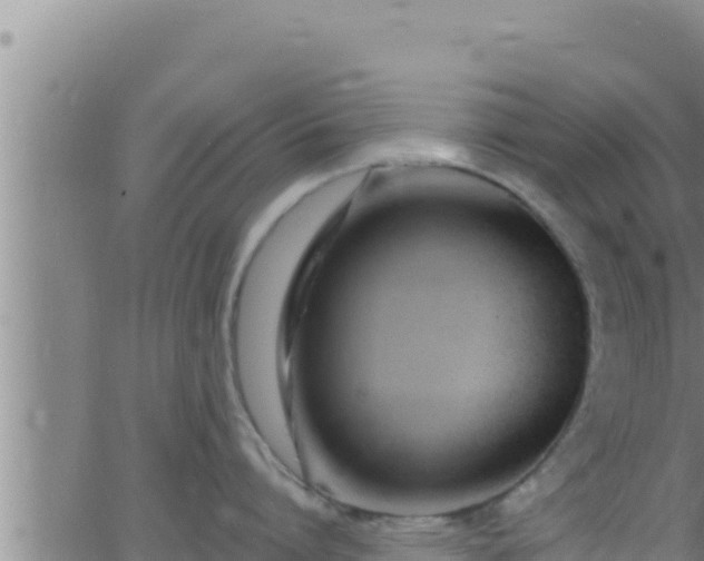 X0000062910864200601201934